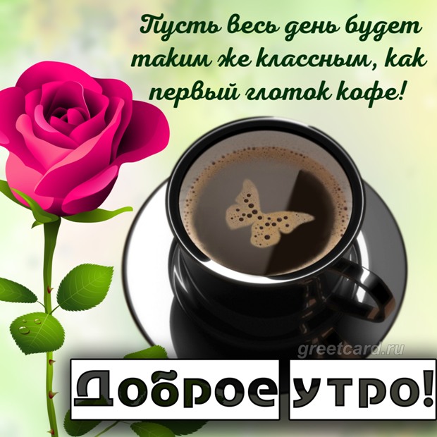 Утро кофе розы: подборка картинок