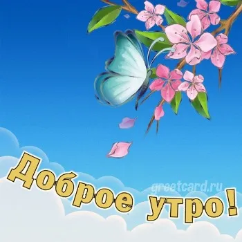 Пожелание доброго утра с цветами