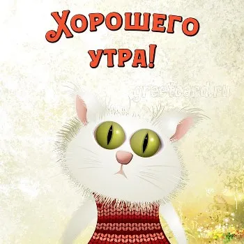 Картинка - милый котик и пожелание на утро