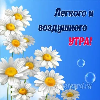 Открытка доброе утро с красивыми ромашками Открытка доброе утро с красивыми ромашками