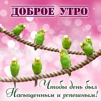 Картинка с попугайчиками и пожеланием доброго утра
