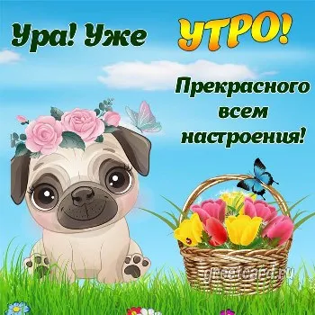 Доброе утро и прекрасного всем настроения Доброе утро и прекрасного всем настроения