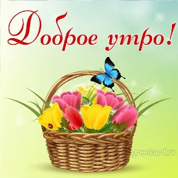 Доброе утро с корзиной цветов Доброе утро с корзиной цветов