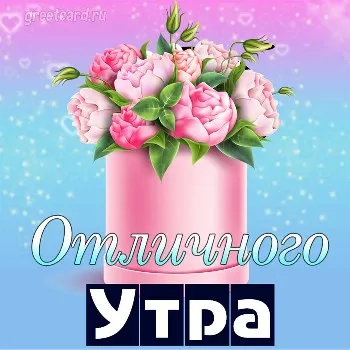 Открытки на все случаи жизни