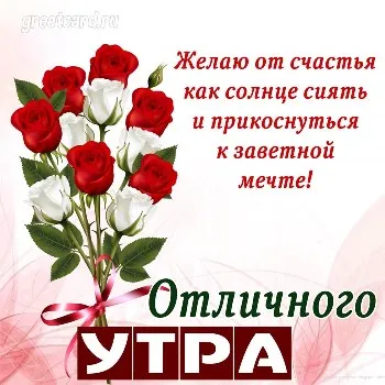 Картинка: красивые цветы с добрым утром