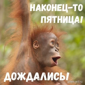 Картинка с пятницей: наконец то дождались