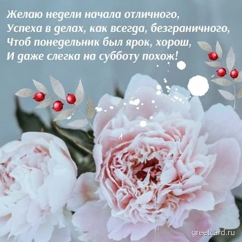 Открытка с понедельником: цветок и поздравительный текст