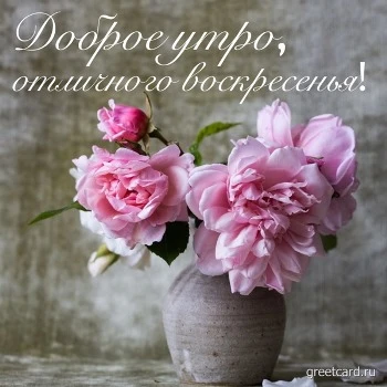 Картинка: доброго утра и отличного воскресенья с букетом цветов