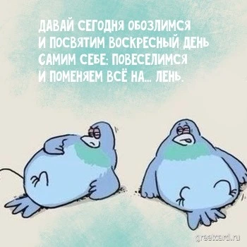 Картинка с воскресеньем и тюленями