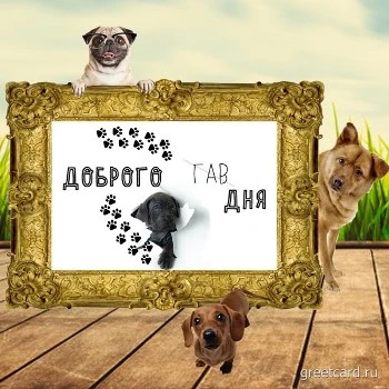 Открытка хорошего дня с песиками