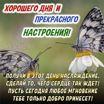 Картинка хорошего дня и чудесного настроения