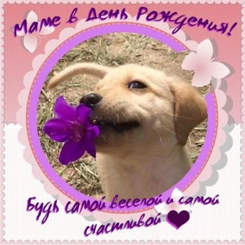 Открытка маме: Будь самой веселой и самой счастливой