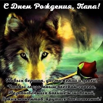 Открытка папе на день рождение с волком и розой