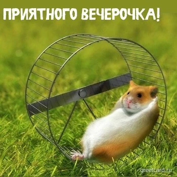 Привлекательная картинка добрый вечер