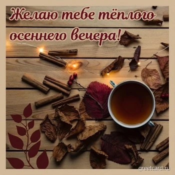 Красивая картинка добрый вечер с чашкой чая