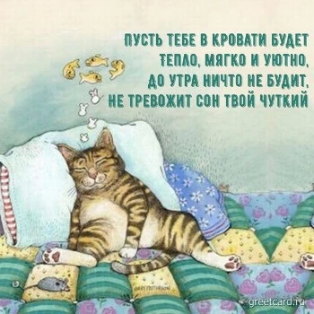 Картинка спокойной ночи со спящим котиком Картинка спокойной ночи со спящим котиком