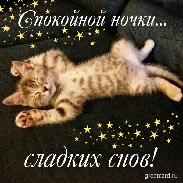 Замечательная открытка спокойной ночи с кошкой