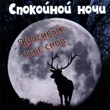 Картинка спокойной ночи на фоне луны