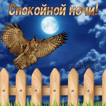 Картинка: Пусть эта ночь приносит тебе только приятные эмоции Картинка: Пусть эта ночь приносит тебе только приятные эмоции