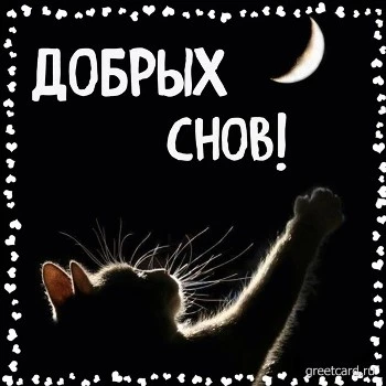 Открытка добрых и милых снов