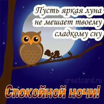 Милая открытка сладких снов