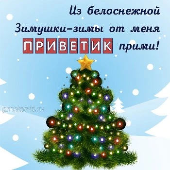 Зимний приветик из белоснежной зимы