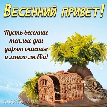 Красивая картинка: весенний привет