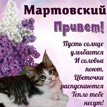 Весенняя картинка: мартовский привет