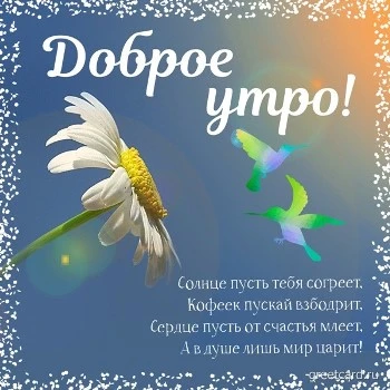 Утренняя картинка: Солнце пусть тебя согреет, кофеек тебя взбодрит