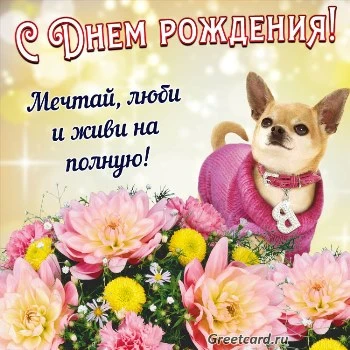 Оригинальная открытка с днем рождения женщине