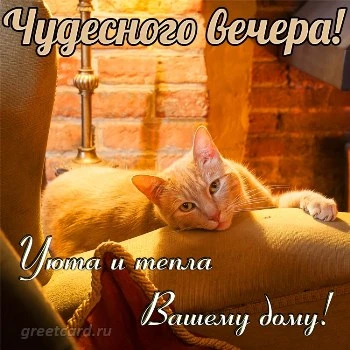 Открытка добрый вечер, милая моя