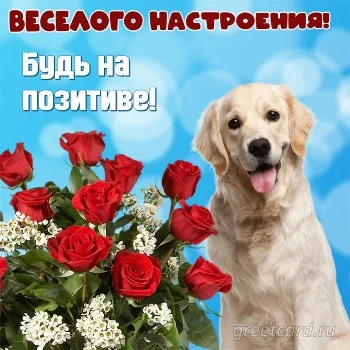 Картинка волшебного настроения, позитива и радости Картинка волшебного настроения, позитива и радости