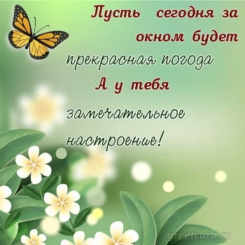 Открытка хорошего настроения с бабочкой