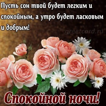 Замечательная картинка сладких снов с розами