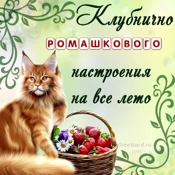 Оригинальная открытка с летом и пожеланием Оригинальная открытка с летом и пожеланием
