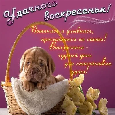 Солнечного воскресного денечка