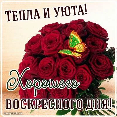 Открытки для воскресенья: Доброе Утро!