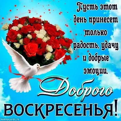 Потешная открытка с воскресеньем