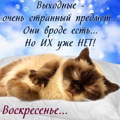 Креативная открытка с воскресеньем Креативная открытка с воскресеньем