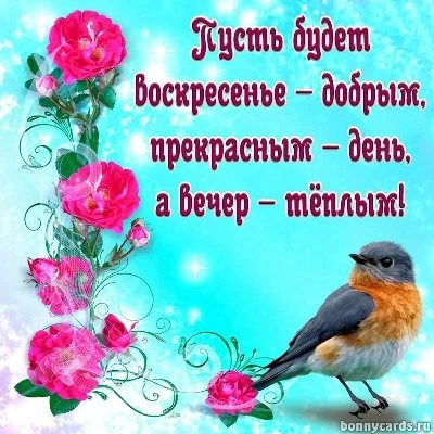 Яркая открытка с воскресеньем Яркая открытка с воскресеньем