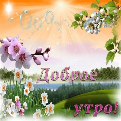 Доброе утро картинки летняя красивая