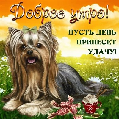 С добрым утром с животными открытки