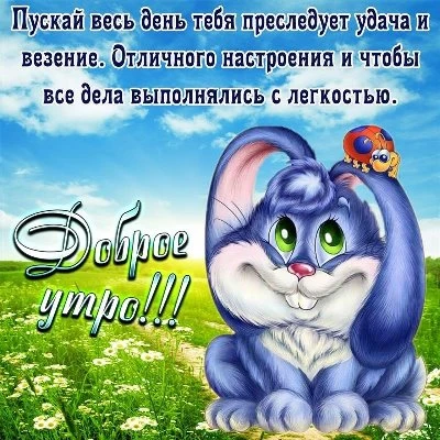 Картинка доброго и ласкового утра Картинка доброго и ласкового утра