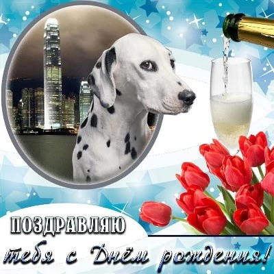 Отличная открытка с днем рождения мужчине Отличная открытка с днем рождения мужчине