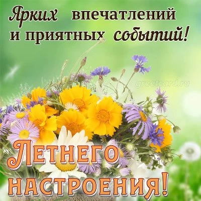 Бесплатно красивая картинка с летним утром