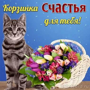Милый котик дарит корзинку на счастье