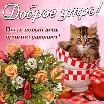 Приятная открытка с добрым утром