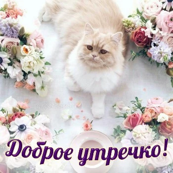 Блестящая открытка с добрым утром Блестящая открытка с добрым утром