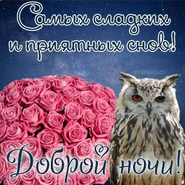 Доброй ночи красивая и нежная открытка