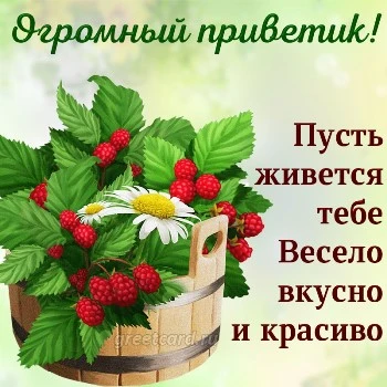 Открытка всем родным большой привет